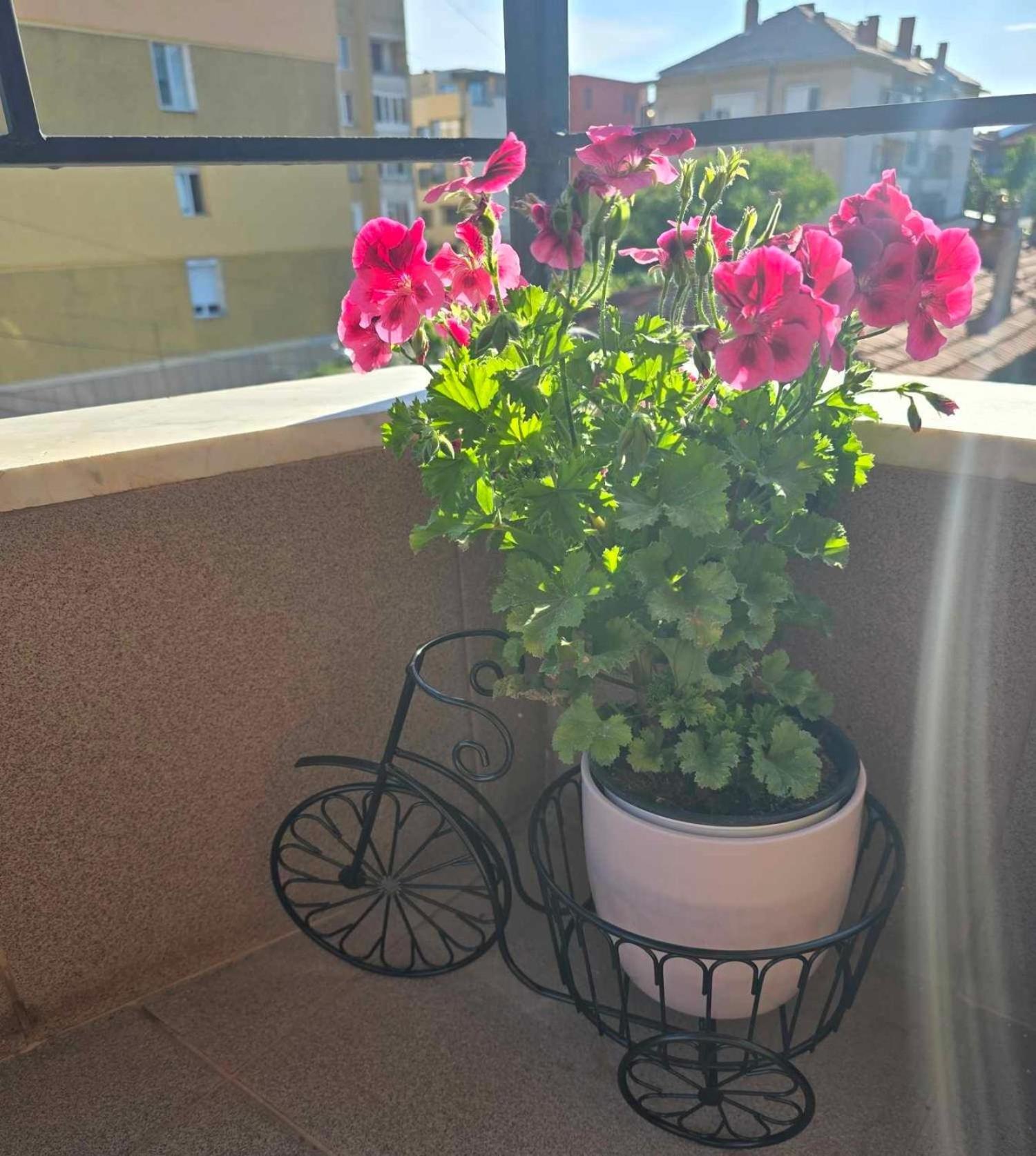 Luxury City Centre Appartment Iva Sliven Esterno foto